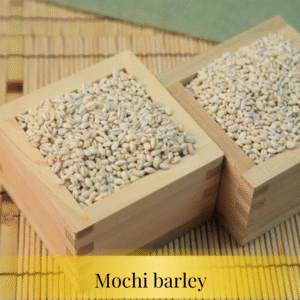 Mochibarley